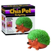 Had a Chia Pet