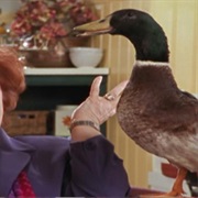 S2.E3: Duck Soup