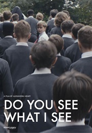 Do You See What I See (2024)