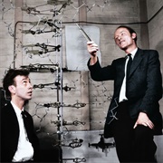 Crick & Watson Discover Double Helix Structure of DNA (1953)