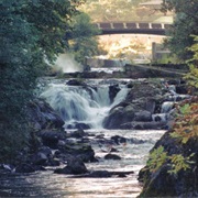 Brewery Park at Tumwater Falls