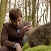 The Day of the Doctor