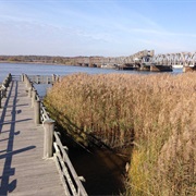 Ferry Landing State Park
