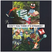 Don't You Think It's Strange? - Spring Silver