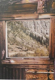 Lyman Ward (Wallace Stegner)