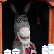 Donkey