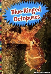 Blue-Ringed Octopus (Elizabeth Raum)