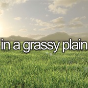 Lay in a Grassy Place