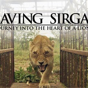 Saving Sirga: Journey Into the Heart of a Lion (Botswana)