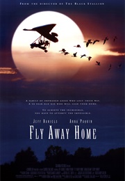 Fly Away Home - Caleb Deschanel (1996)