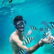 Fishish Scooba Diving