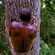4. Jungles: People of the Trees
