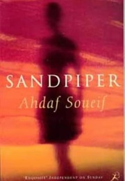 Sandpiper (Soueif, Ahdaf)