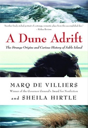 A Dune Adrift (Marq De Villiers)