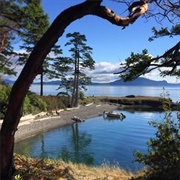 San Juan Island, Washington