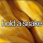 Hold a Snake