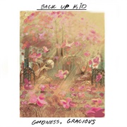 Goodness, Gracious by Back Up Kid