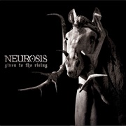Neurosis - Water Is Not Enough