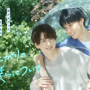 Ameagari No Bokura Ni Tsuite