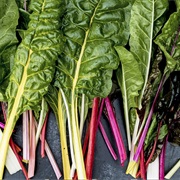 Swiss Chard