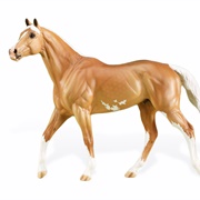 Walking Thoroughbred