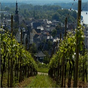 Weinberge, Rüdesheim Am Rhein