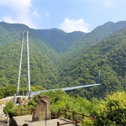 Aya Biosphere Reserve, Kyushu, Japan