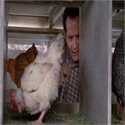 Monk: "Mr. Monk Visits a Farm" (S5,E14)