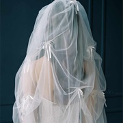 Veil With Decorated Pickups