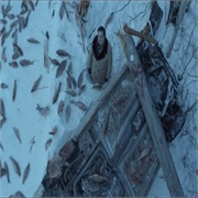 Fargo: "Buridan's Ass" (S1,E6)