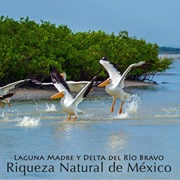 Laguna Madre Y Río Bravo Delta, Tamaulipas, Mexico