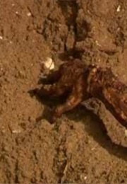 Time Dwellers (The Time Detectives) (2013)