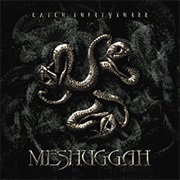 Catch Thirtythree - Meshuggah