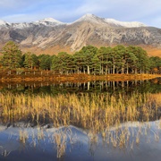 Beinn Eighe National Nature Reserve, Kinlochewe, Scotland