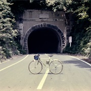 Pool House - The Backseat Lovers