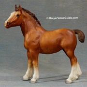 Clydesdale Foal