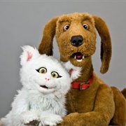 Lomax, the Hound of Music