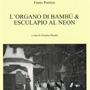 L'organo Di Bambù (Porrino)