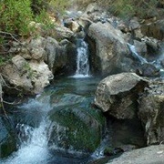 La Primavera Biosphere Reserve, Jalisco, Mexico