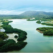 Tasik Chini Biosphere Reserve, Pahang, Malaysia