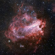 Omega, Swan, Horseshoe, Lobster, or Checkmark Nebula