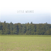 Bob Barnett - Little Wounds