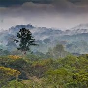 Monte Alen National Park