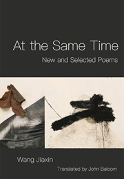 At the Same Time (Wang Jiaxin)
