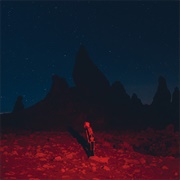 Punisher by Phoebe Bridgers