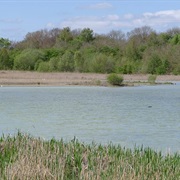 Ashton's and Neumann's Flashes