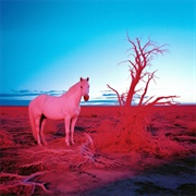 L O W B L O W (Indie Tribe)