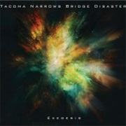 Exegesis - Tacoma Narrows Bridge Disaster (2012)