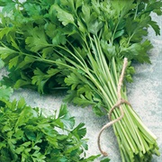 Parsley
