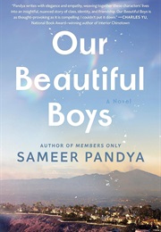 Our Beautiful Boys (Sameer Pandya)